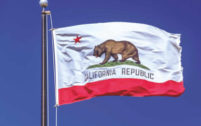 Analyzing the Impact of California Senate Bill 371 on Rideshare Drivers and Companies